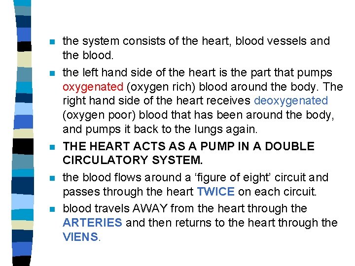 n n n the system consists of the heart, blood vessels and the blood.