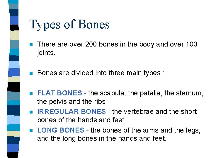 Types of Bones n There are over 200 bones in the body and over