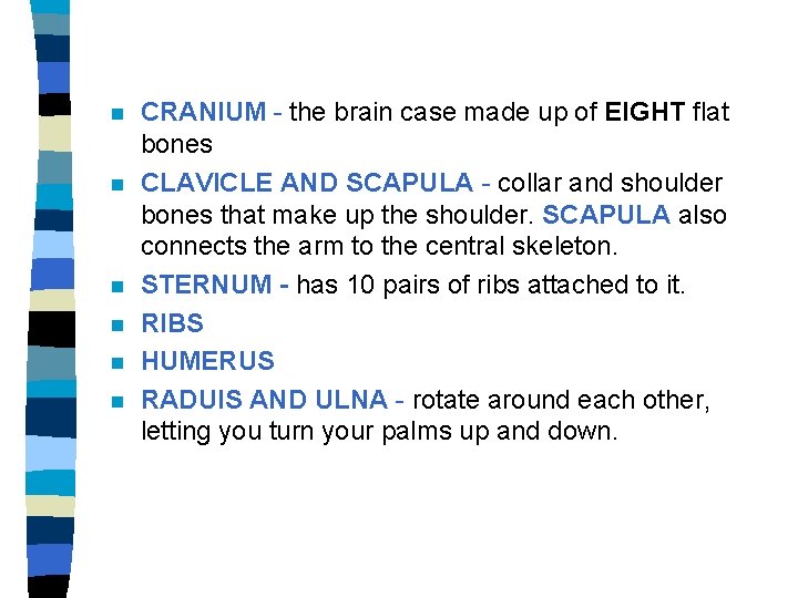 n n n CRANIUM - the brain case made up of EIGHT flat bones