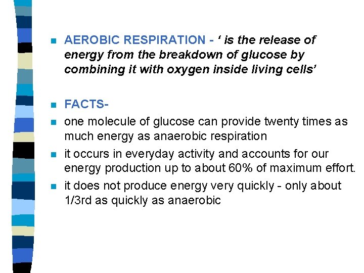 n AEROBIC RESPIRATION - ‘ is the release of energy from the breakdown of