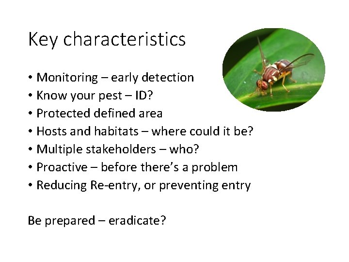 Key characteristics • Monitoring – early detection • Know your pest – ID? •