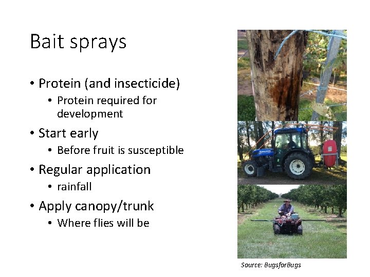 Bait sprays • Protein (and insecticide) • Protein required for development • Start early
