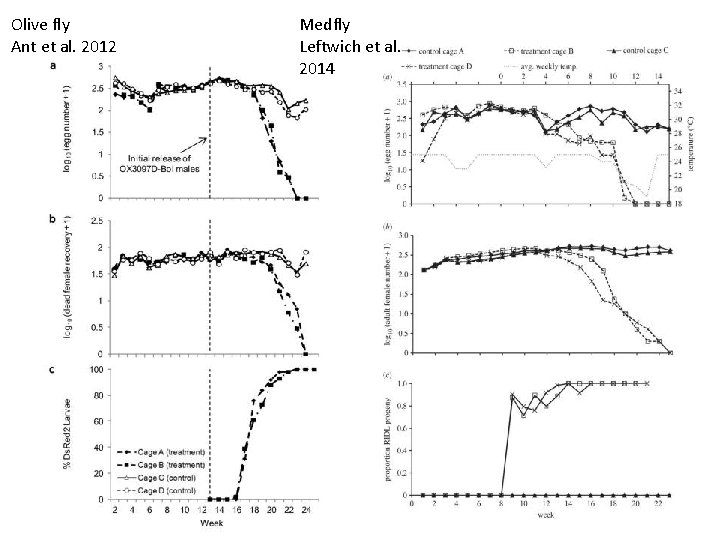 Olive fly Ant et al. 2012 Medfly Leftwich et al. 2014 38 