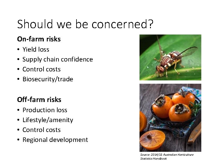 Should we be concerned? On-farm risks • • Yield loss Supply chain confidence Control