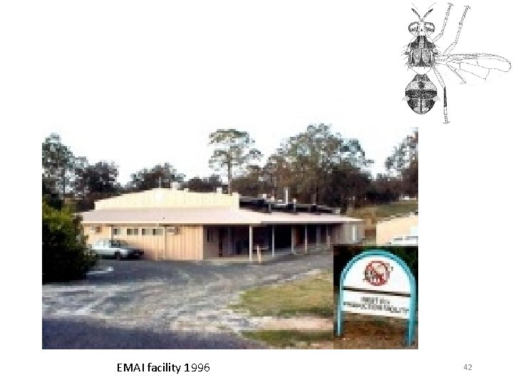 EMAI facility 1996 42 