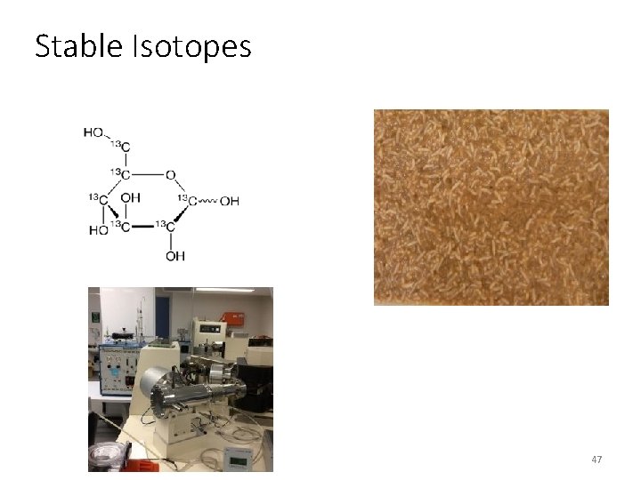 Stable Isotopes 47 