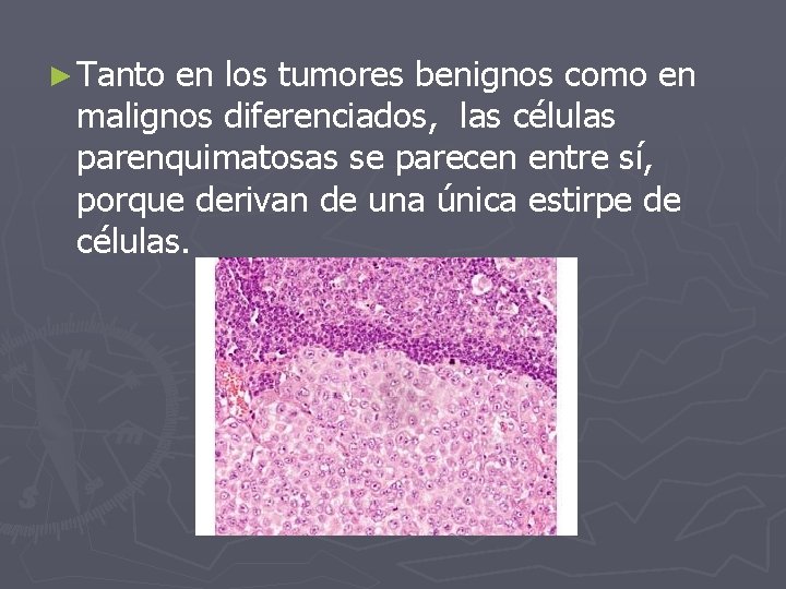 ► Tanto en los tumores benignos como en malignos diferenciados, las células parenquimatosas se