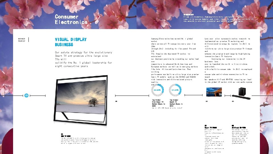 Consumer Electronics BUSINESS OVERVIEW DISCOVERY Dreams are boundless. Samsung Electronics constantly reinvents tomorrow to