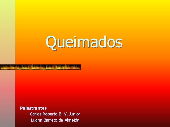 Queimados Palestrantes Carlos Roberto B. V. Junior Luana Barreto de Almeida 