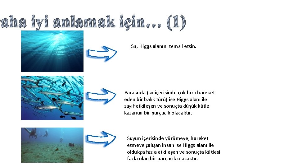 Daha iyi anlamak için… (1) Su, Higgs alanını temsil etsin. Barakuda (su içerisinde çok