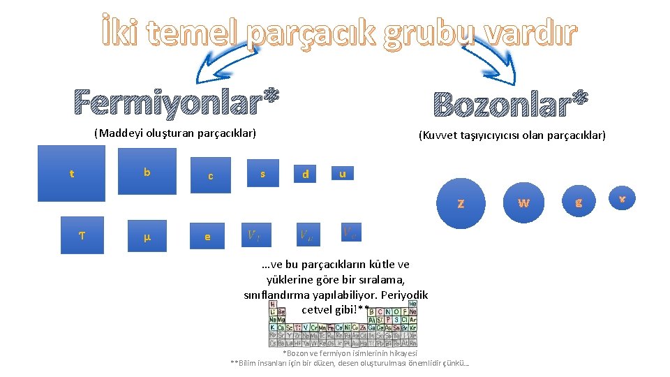 İki temel parçacık grubu vardır Fermiyonlar* Bozonlar* (Maddeyi oluşturan parçacıklar) b t (Kuvvet taşıyıcısı