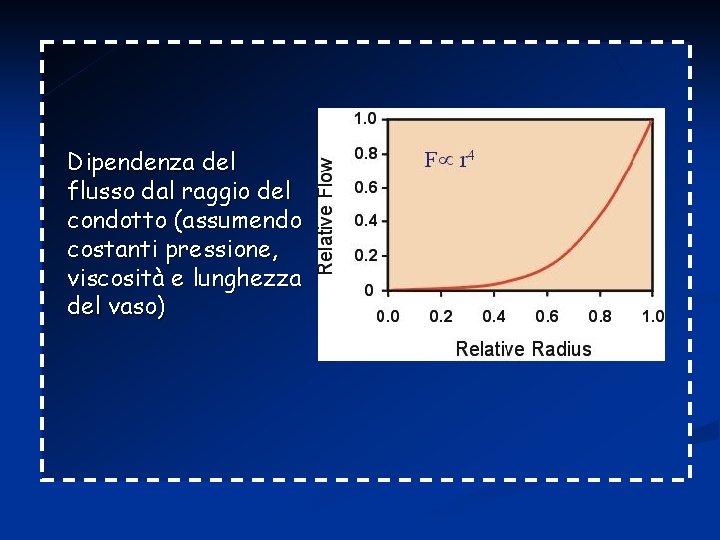 Dipendenza del flusso dal raggio del condotto (assumendo costanti pressione, viscosità e lunghezza del