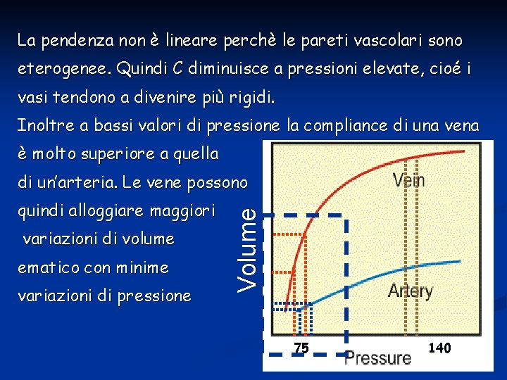 La pendenza non è lineare perchè le pareti vascolari sono eterogenee. Quindi C diminuisce