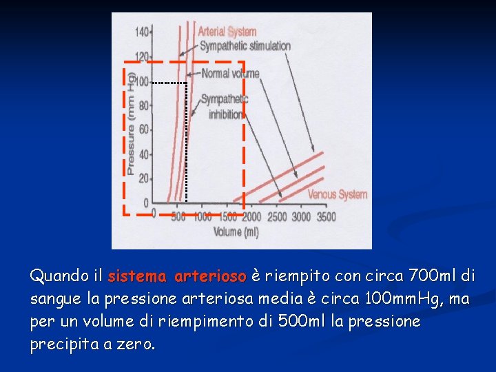 Quando il sistema arterioso è riempito con circa 700 ml di sangue la pressione