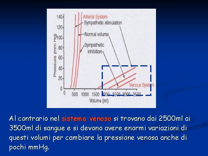 Al contrario nel sistema venoso si trovano dai 2500 ml ai 3500 ml di