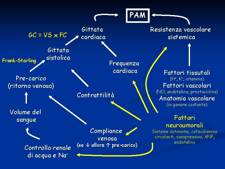 PAM GC = VS x FC Frank-Starling Gittata sistolica Pre-carico (ritorno venoso) Gittata cardiaca