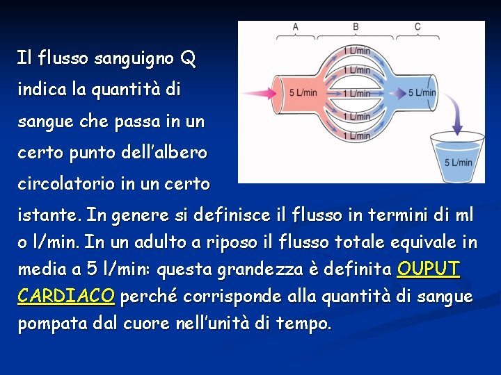 Il flusso sanguigno Q indica la quantità di sangue che passa in un certo