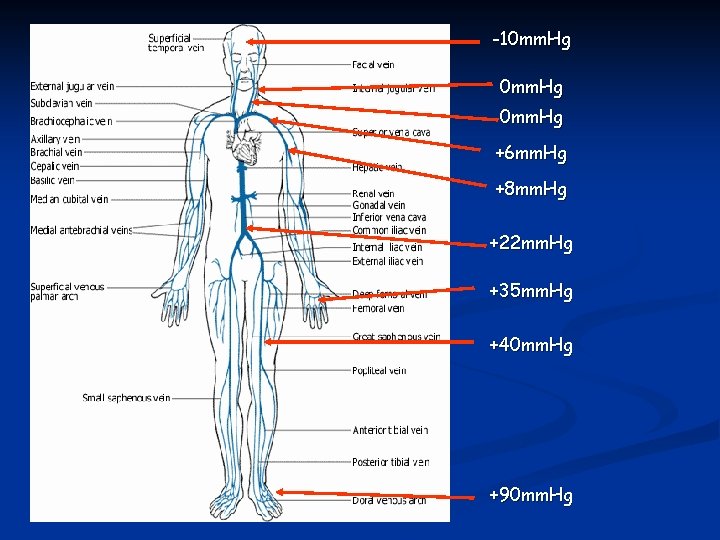 -10 mm. Hg +6 mm. Hg +8 mm. Hg +22 mm. Hg +35 mm.