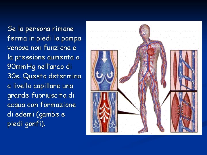 Se la persona rimane ferma in piedi la pompa venosa non funziona e la