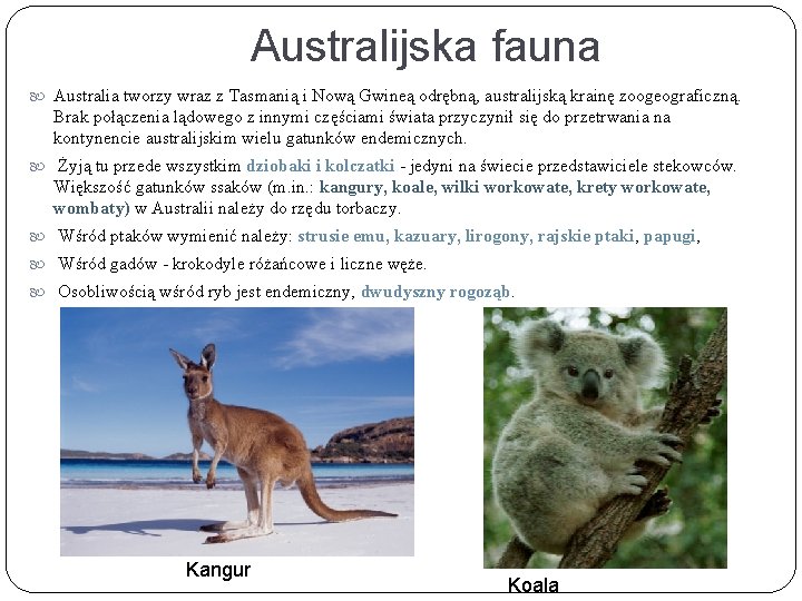 Australijska fauna Australia tworzy wraz z Tasmanią i Nową Gwineą odrębną, australijską krainę zoogeograficzną.