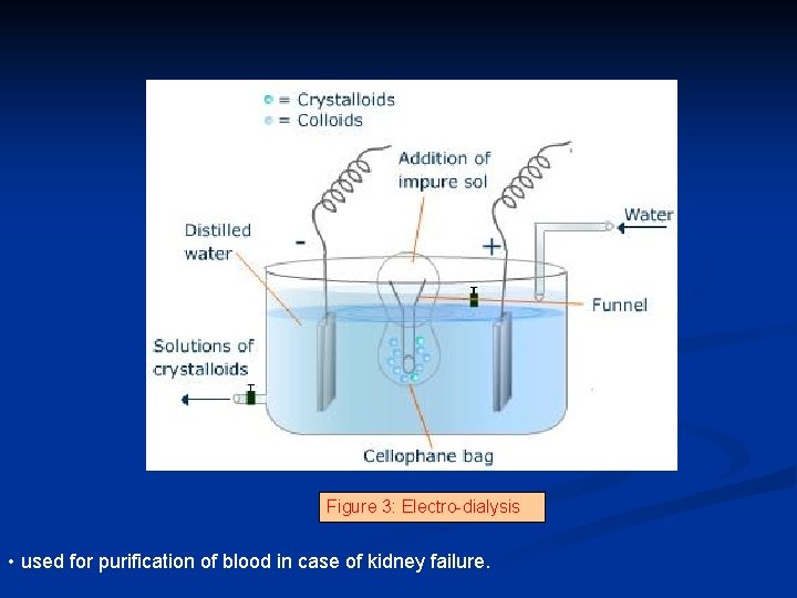 Figure 3: Electro-dialysis • used for purification of blood in case of kidney failure.