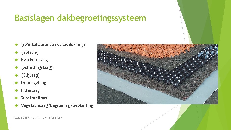 Basislagen dakbegroeiingssysteem ((Wortelwerende) dakbedekking) (Isolatie) Beschermlaag (Scheidingslaag) (Glijlaag) Drainagelaag Filterlaag Substraatlaag Vegetatielaag/begroeiing/beplanting Keuzedeel Dak- Basislagen dakbegroeiingssysteem ((Wortelwerende) dakbedekking) (Isolatie) Beschermlaag (Scheidingslaag) (Glijlaag) Drainagelaag Filterlaag Substraatlaag Vegetatielaag/begroeiing/beplanting Keuzedeel Dak-