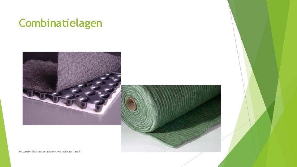 Combinatielagen Keuzedeel Dak- en gevelgroen voor niveau 3 en 4 Combinatielagen Keuzedeel Dak- en gevelgroen voor niveau 3 en 4