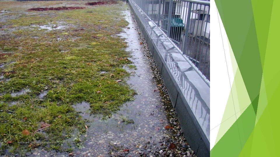 Keuzedeel Dak- en gevelgroen voor niveau 3 en 4 Keuzedeel Dak- en gevelgroen voor niveau 3 en 4