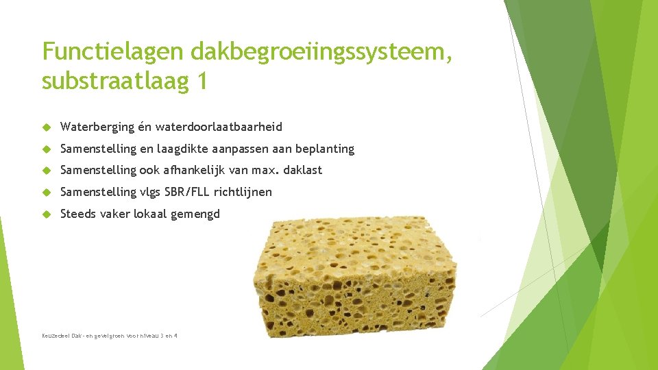 Functielagen dakbegroeiingssysteem, substraatlaag 1 Waterberging én waterdoorlaatbaarheid Samenstelling en laagdikte aanpassen aan beplanting Samenstelling Functielagen dakbegroeiingssysteem, substraatlaag 1 Waterberging én waterdoorlaatbaarheid Samenstelling en laagdikte aanpassen aan beplanting Samenstelling