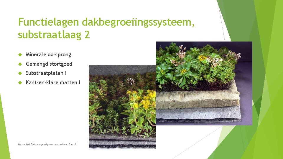 Functielagen dakbegroeiingssysteem, substraatlaag 2 Minerale oorsprong Gemengd stortgoed Substraatplaten ! Kant-en-klare matten ! Keuzedeel Functielagen dakbegroeiingssysteem, substraatlaag 2 Minerale oorsprong Gemengd stortgoed Substraatplaten ! Kant-en-klare matten ! Keuzedeel