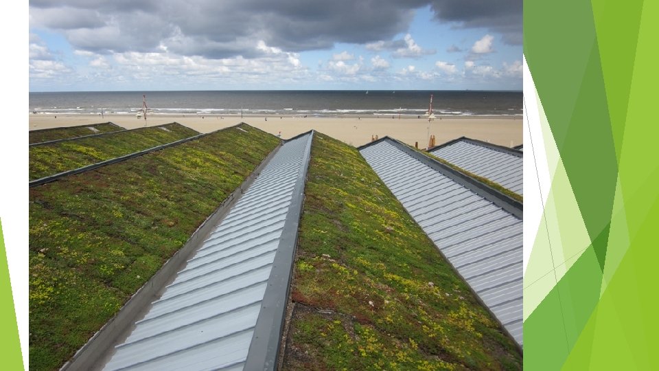 Keuzedeel Dak- en gevelgroen voor niveau 3 en 4 Keuzedeel Dak- en gevelgroen voor niveau 3 en 4