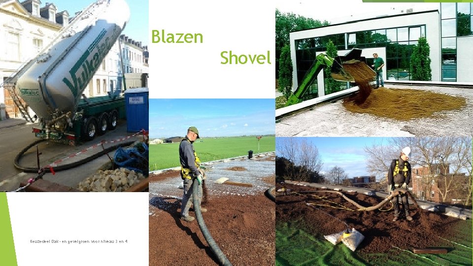 Blazen Shovel Keuzedeel Dak- en gevelgroen voor niveau 3 en 4 Blazen Shovel Keuzedeel Dak- en gevelgroen voor niveau 3 en 4