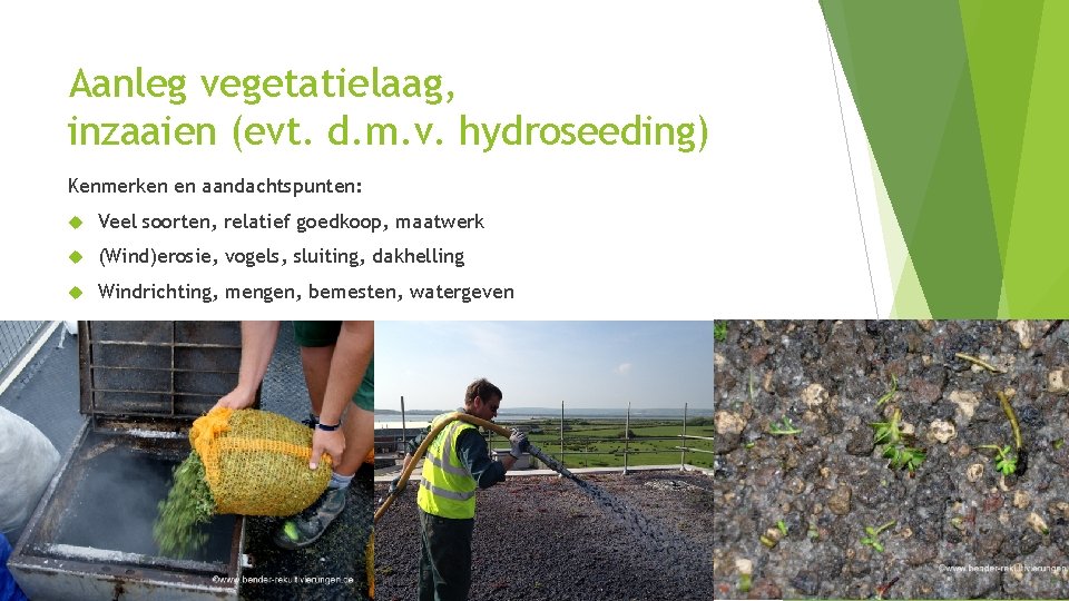 Aanleg vegetatielaag, inzaaien (evt. d. m. v. hydroseeding) Kenmerken en aandachtspunten: Veel soorten, relatief Aanleg vegetatielaag, inzaaien (evt. d. m. v. hydroseeding) Kenmerken en aandachtspunten: Veel soorten, relatief