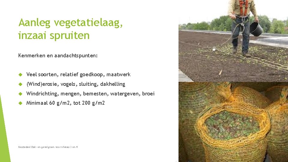 Aanleg vegetatielaag, inzaai spruiten Kenmerken en aandachtspunten: Veel soorten, relatief goedkoop, maatwerk (Wind)erosie, vogels, Aanleg vegetatielaag, inzaai spruiten Kenmerken en aandachtspunten: Veel soorten, relatief goedkoop, maatwerk (Wind)erosie, vogels,