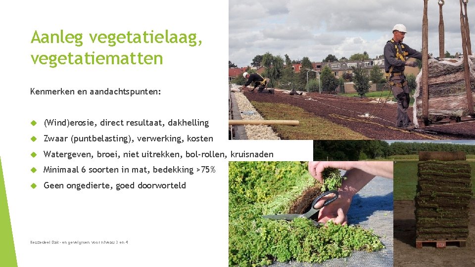 Aanleg vegetatielaag, vegetatiematten Kenmerken en aandachtspunten: (Wind)erosie, direct resultaat, dakhelling Zwaar (puntbelasting), verwerking, kosten Aanleg vegetatielaag, vegetatiematten Kenmerken en aandachtspunten: (Wind)erosie, direct resultaat, dakhelling Zwaar (puntbelasting), verwerking, kosten