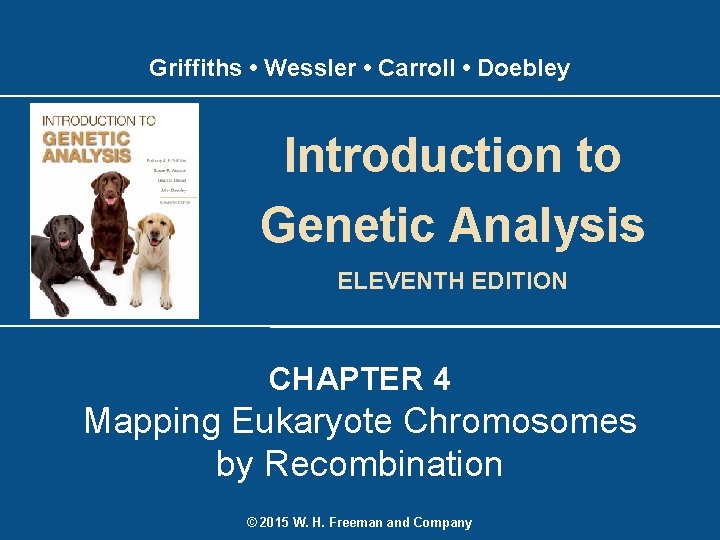Griffiths • Wessler • Carroll • Doebley Introduction to Genetic Analysis ELEVENTH EDITION CHAPTER