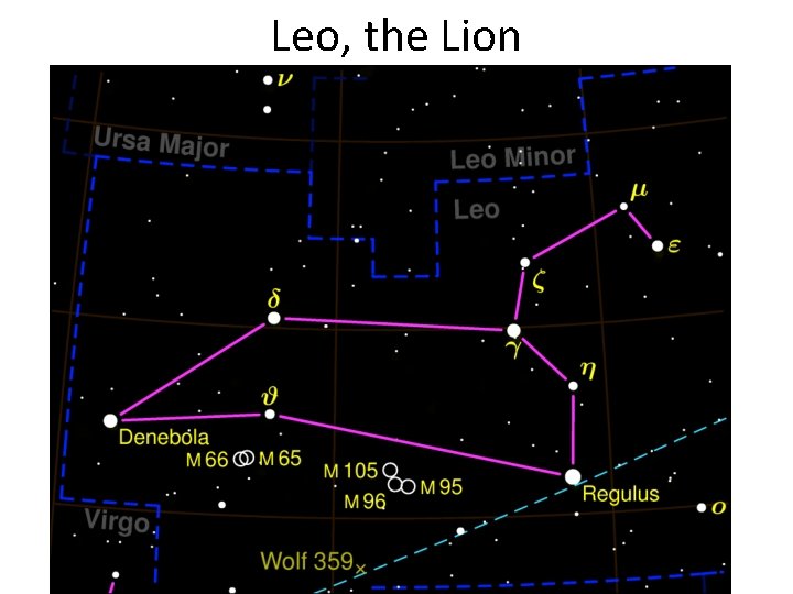 Leo, the Lion Leo, the Lion