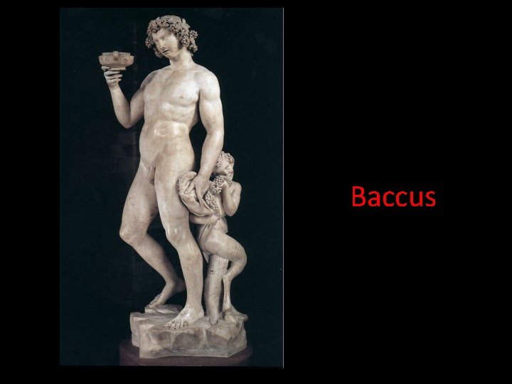 Baccus 