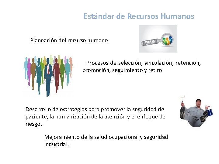 Estándar de Recursos Humanos • Planeación del recurso humano • Procesos de selección, vinculación,