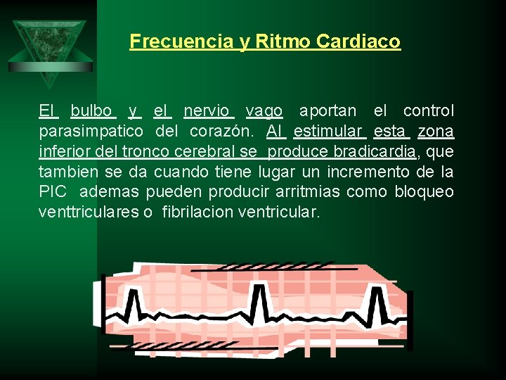 Frecuencia y Ritmo Cardiaco El bulbo y el nervio vago aportan el control parasimpatico