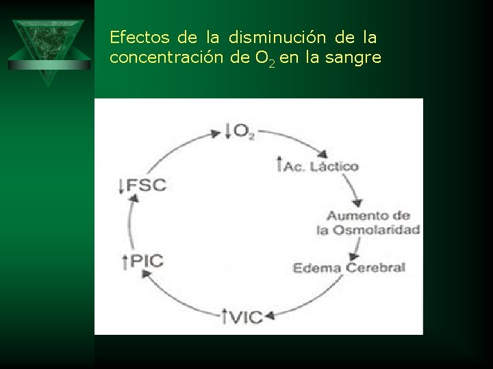 Efectos de la disminución de la concentración de O 2 en la sangre 