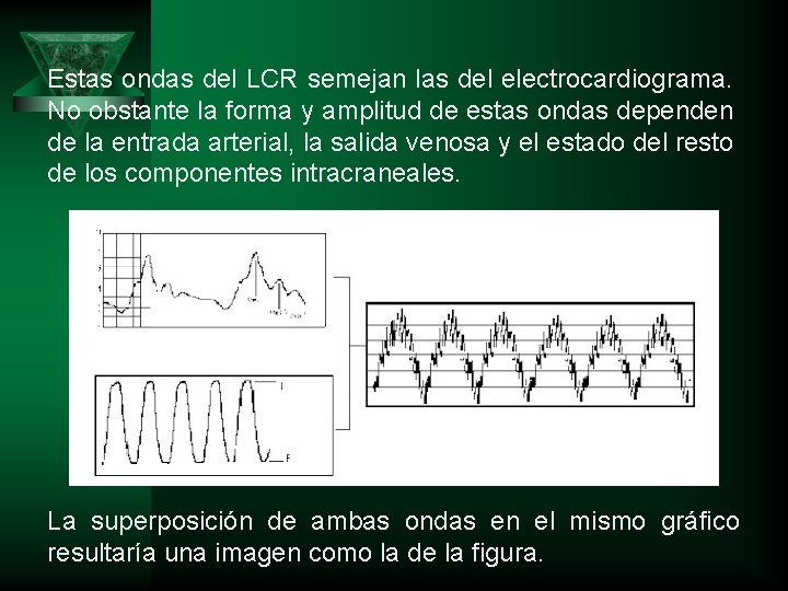 Estas ondas del LCR semejan las del electrocardiograma. No obstante la forma y amplitud