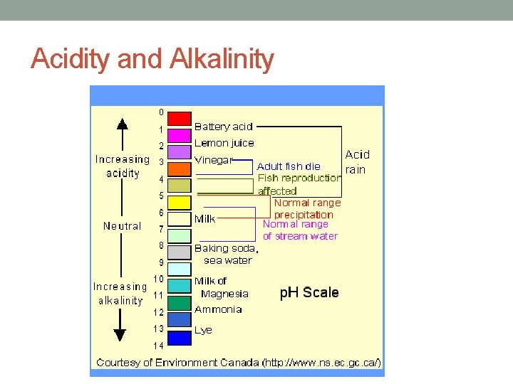 Acidity and Alkalinity 