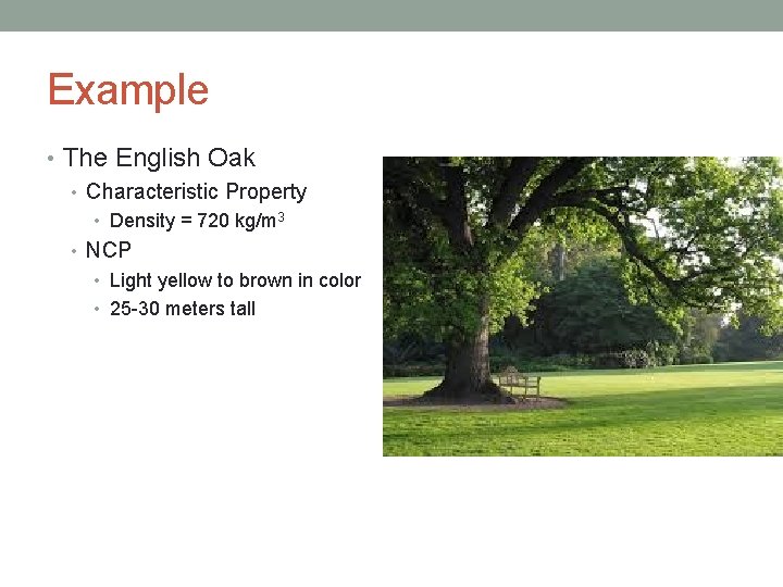 Example • The English Oak • Characteristic Property • Density = 720 kg/m 3