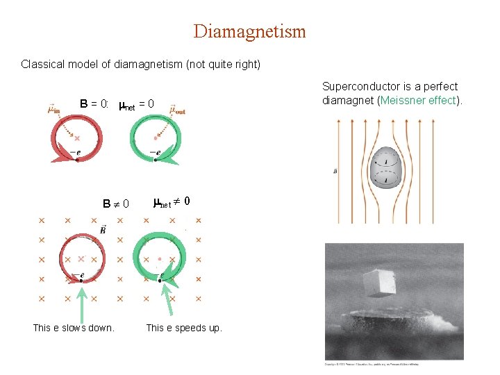 Diamagnetism Classical model of diamagnetism (not quite right) B = 0: net = 0