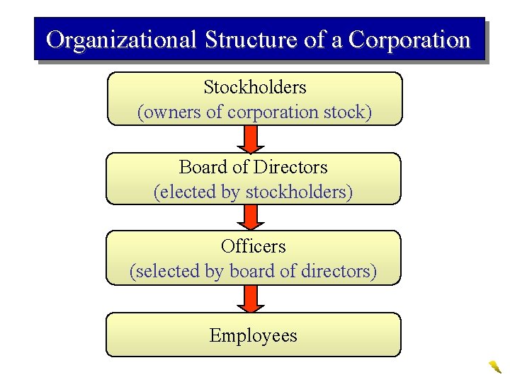 Organizational Structure of a Corporation Stockholders (owners of corporation stock) Board of Directors (elected