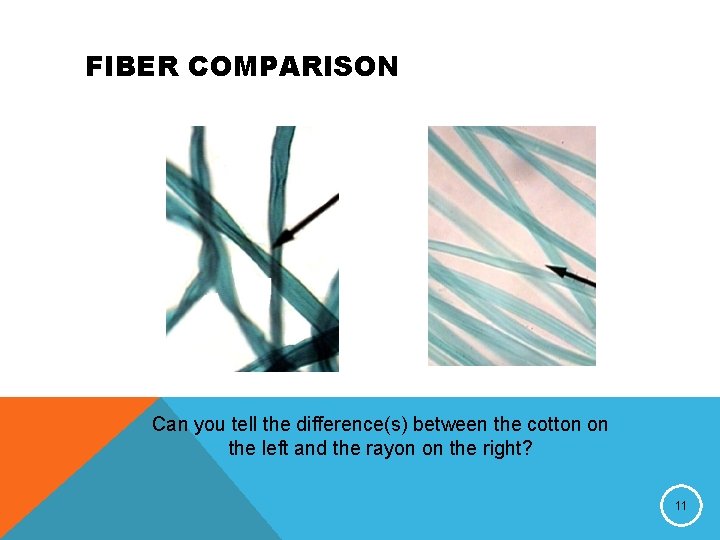 FIBER COMPARISON Can you tell the difference(s) between the cotton on the left and