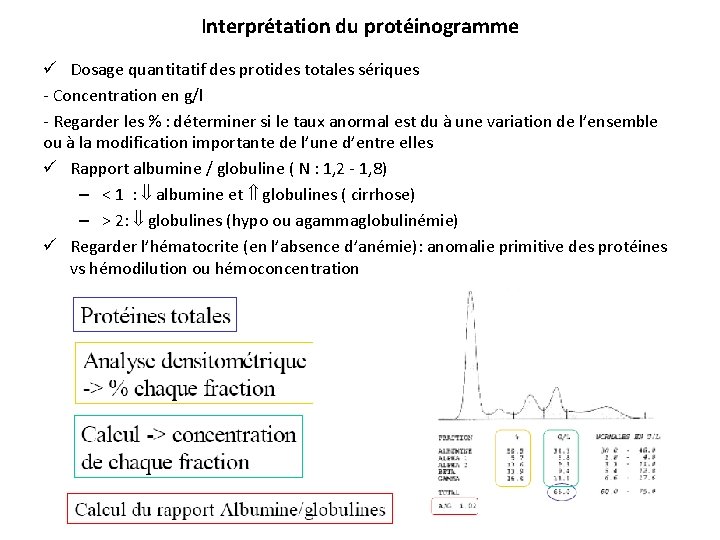 Interprétation du protéinogramme ü Dosage quantitatif des protides totales sériques - Concentration en g/l