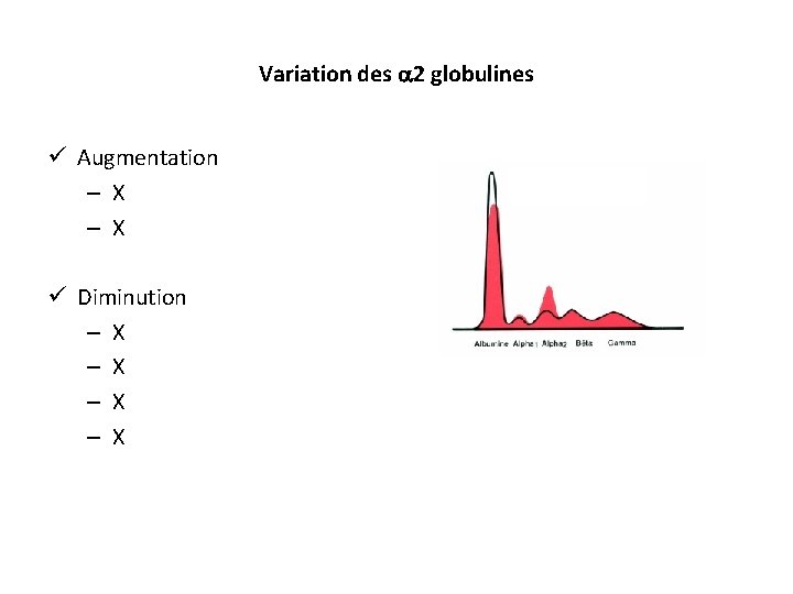 Variation des 2 globulines ü Augmentation – X ü Diminution – X – X