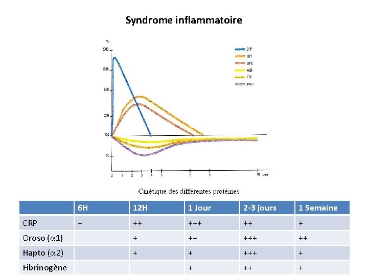 Syndrome inflammatoire 6 H 12 H 1 Jour 2 -3 jours 1 Semaine +